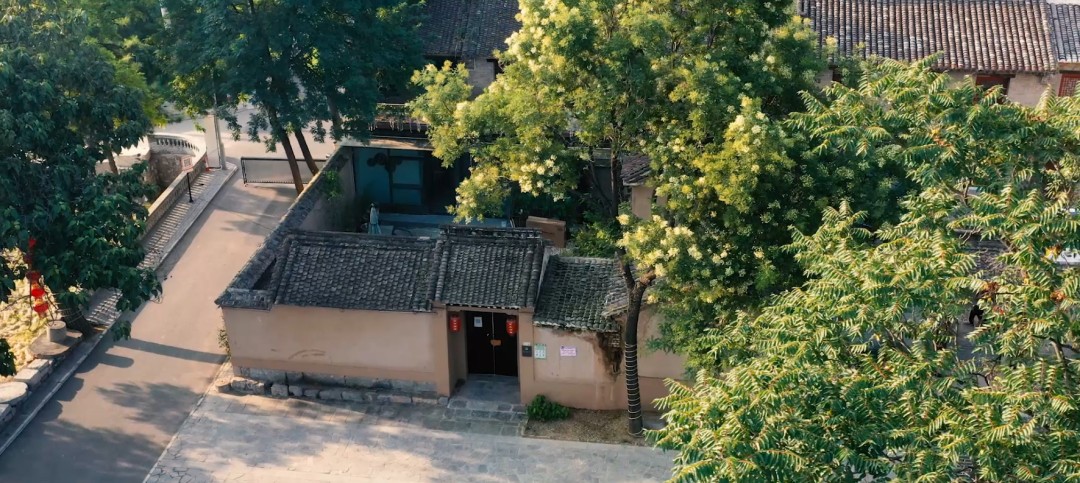 t7.jpg